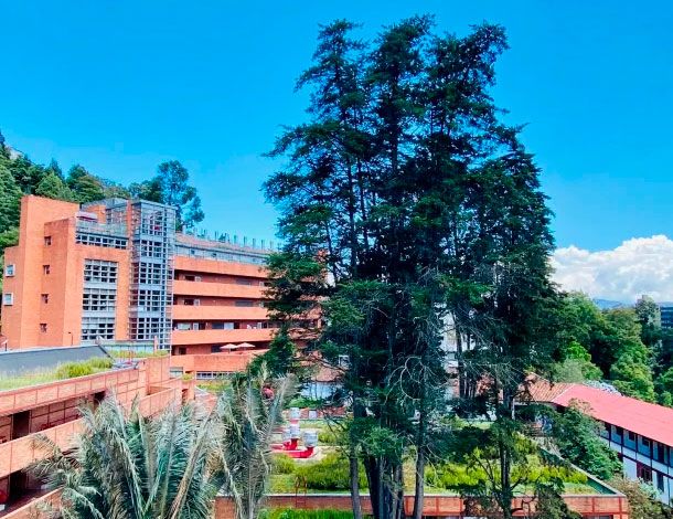 Acreditación Doctorado en Química