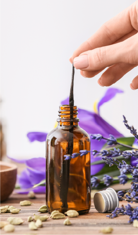 Perfumería Natural: Creación de Fragancias