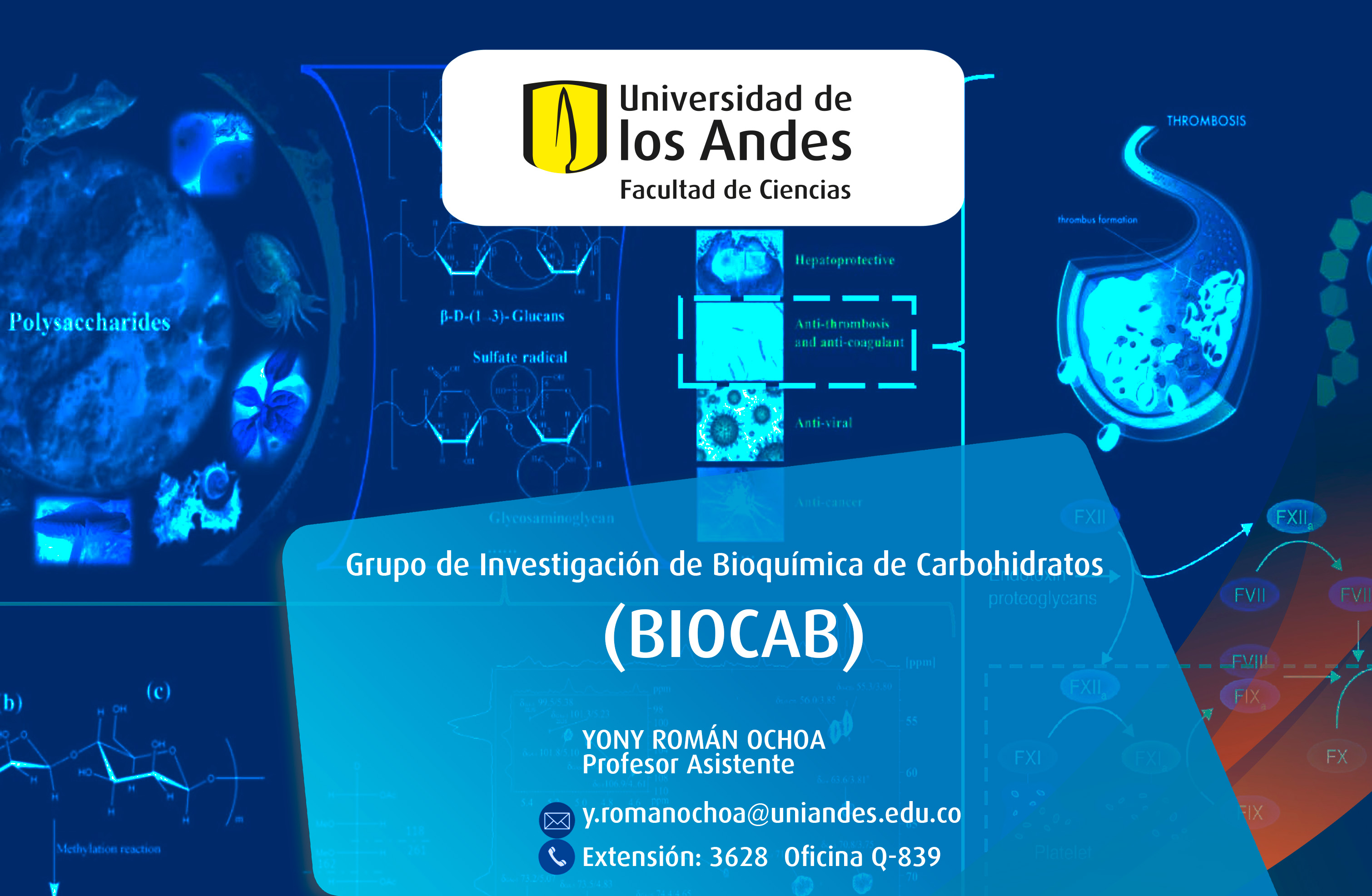 Investigación de Bioquímica de Carbohidratos (BIOCAB)