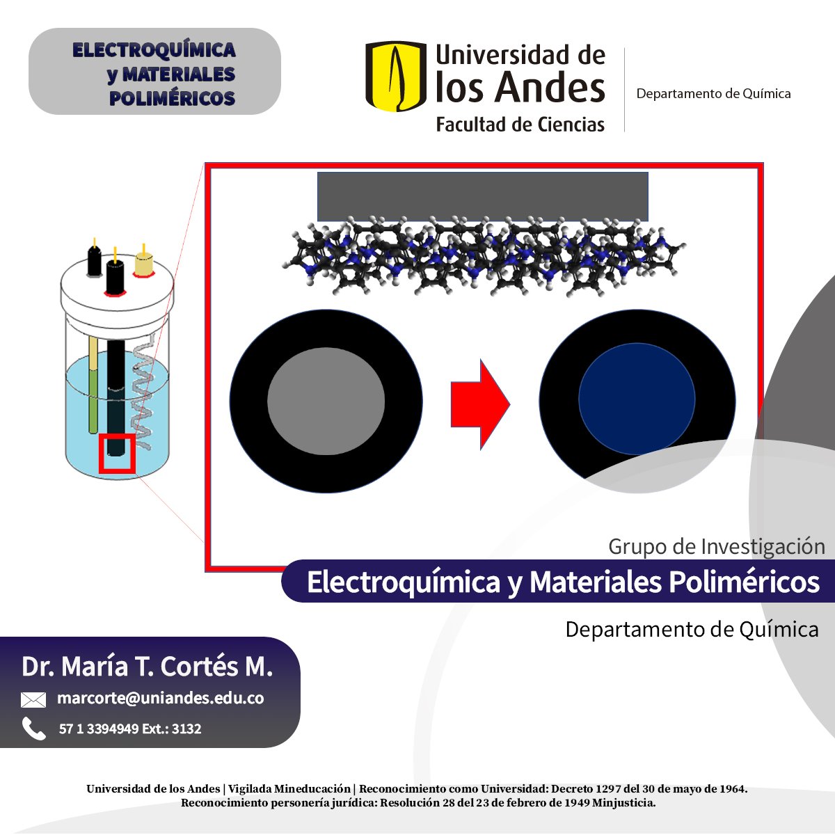Electroquímica y materiales poliméricos