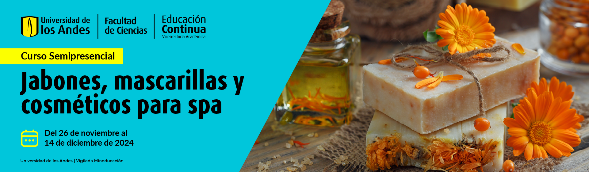 Curso: Jabones, mascarillas y cosméticos para spa