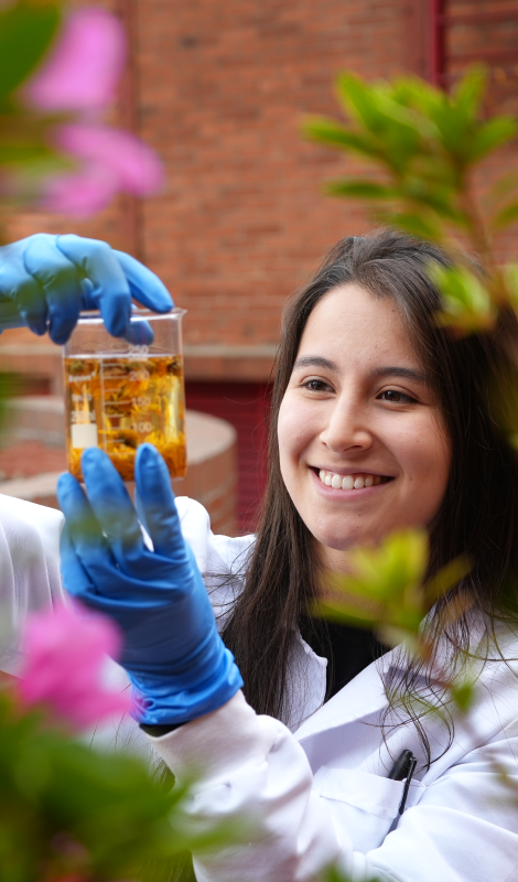 Cosmética Botánica: ciencia y aplicaciones para la piel y el cabello
